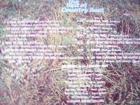 Лот: 18570836. Фото: 3. LP - " the best of Country Beat... Красноярск