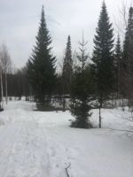 Лот: 18244563. Фото: 6. Участок 6 сот.