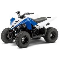 Лот: 25740265. Фото: 2. Квадроцикл YAMAHA YFM90R (Raptor... Мототехника