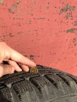 Лот: 12007170. Фото: 2. Диски Honda + резина Toyo R16. Шины, Диски