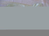 Лот: 5412805. Фото: 4. Одним лотом два бодика+шортики... Красноярск