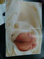 Лот: 12271522. Фото: 2. Дневник будущей мамочки новый. Для будущих и настоящих мам