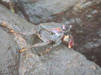 Лот: 4119175. Фото: 3. Nikon coolpix p510. Фото, видеокамеры, оптика