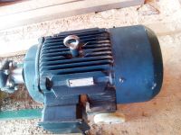 Лот: 8049116. Фото: 4. Гранулятор Пеллетайзер. Красноярск