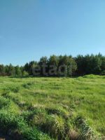 Лот: 25396592. Фото: 3. участок , ДНТ Лётчик ДНТ Лётчик... Недвижимость