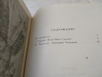 Лот: 12644161. Фото: 10. Фавориты. С. Горский. Жены Ивана...