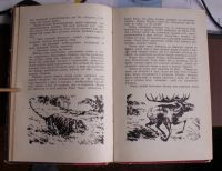Лот: 7495431. Фото: 2. Рони-Старший Жозеф - "Борьба за... Литература, книги