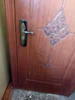 Лот: 11893697. Фото: 2. дверь входная металлическая. Двери, окна, фурнитура