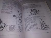 Лот: 19322833. Фото: 7. ред. Кудрявцева, А.А. Энциклопедия...