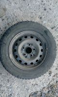 Лот: 12245228. Фото: 2. Комплект зимней резины Dunlop... Шины, Диски