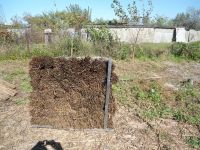 Лот: 18169040. Фото: 3. камыш евросноп. Строительство и ремонт