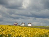Лот: 5693325. Фото: 2. Коттеджи в Солонцах "Золотые Ключи... Продажа