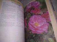 Лот: 21135593. Фото: 6. (209237) Харкнесс Филип. Розы...