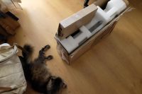 Лот: 15990105. Фото: 2. Моноблок lenovo aio 330-20igm. Компьютеры, ноутбуки, планшеты