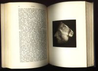 Лот: 19472629. Фото: 14. Сочинения Н. В. Гоголя. Том 10...