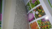 Лот: 10919048. Фото: 4. (3092339)Цветы у вашего дома... Красноярск