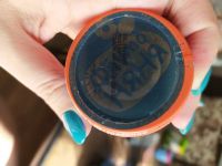 Лот: 17506317. Фото: 2. Рыбное пюре хек 3 по цене 2-х... Продукты