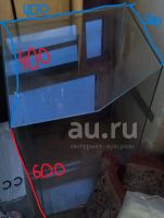 Лот: 25273649. Фото: 3. аквариум. Растения и животные