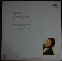 Лот: 5849976. Фото: 2. Chris de Burgh, Flying Colours... Коллекционирование, моделизм