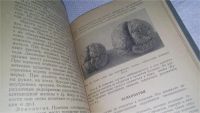 Лот: 10862149. Фото: 3. Невропатология и психиатрия, Г... Литература, книги