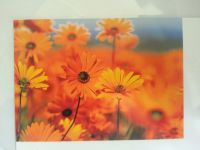 Лот: 5384243. Фото: 4. Epson l800. Красноярск