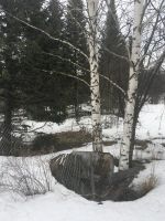 Лот: 18244563. Фото: 4. Участок 6 сот. Красноярск