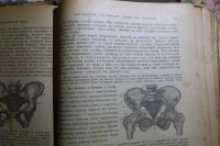Лот: 18802369. Фото: 2. Дореволюционный труд по акушерству... Антиквариат