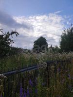 Лот: 25719346. Фото: 6. участок , садоводческое некоммерческое...