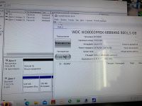 Лот: 20912997. Фото: 3. Жесткий диск wd 8tb wd8003ffbx. Компьютеры, оргтехника, канцтовары