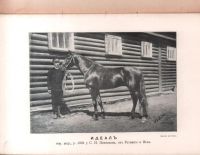 Лот: 17500611. Фото: 3. Журнал коннозаводства № 4, апрель... Коллекционирование, моделизм