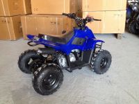 Лот: 25659173. Фото: 4. Квадроцикл RAPTOR 110. Красноярск
