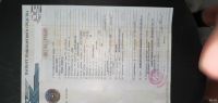Лот: 13443436. Фото: 4. Honda Joker 90cc. Красноярск
