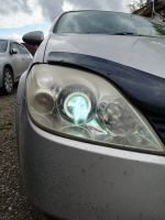 Лот: 19294672. Фото: 2. Фары Nissan primera P12. Автозапчасти