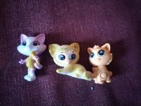 Лот: 25393849. Фото: 2. Игрушки. Не киндеры (кошечки... Игрушки