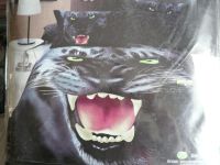 Лот: 9723828. Фото: 2. постельное белье - сатин. Домашний текстиль