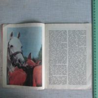 Лот: 18357103. Фото: 8. Журнал Юный натуралист N 5 май...