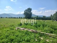 Лот: 25289558. Фото: 2. участок , село Степной Баджей... Продажа