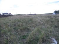 Лот: 7041414. Фото: 5. Участок лпх (ижс) в д. Творогово...