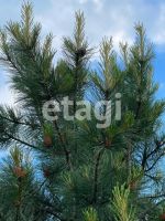 Лот: 25441552. Фото: 17. 3-комн. дом , деревня Бугачево...