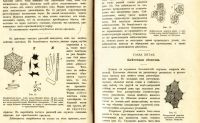 Лот: 17970076. Фото: 9. В.Палладин . Курс ботаники.* 1900...