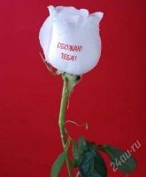 Лот: 2474813. Фото: 2. Флористические БИО-фломастеры. Сувениры, подарки