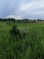 Лот: 19448566. Фото: 6. участок , СНТ Дружба СНТ Дружба...