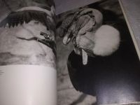 Лот: 25258361. Фото: 7. (2092314)S kamerou po evropskych...