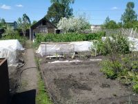 Лот: 15924388. Фото: 2. Участок 9 соток. Железногорск. Продажа