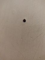 Лот: 19437083. Фото: 3. Стол письменный. Мебель