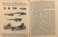 Лот: 15688072. Фото: 6. В. Золотов. Басни, избранные из...
