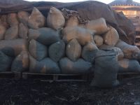 Лот: 13393559. Фото: 2. Перегной конский. Для дачи, дома, огорода, бани, парка