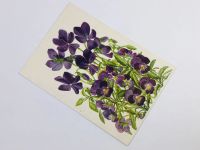 Лот: 23296578. Фото: 2. Фиалка рогатая. Открытка. 1956. Открытки, билеты и др.