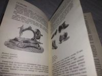 Лот: 19287040. Фото: 10. Кирсанова Р.М. Розовая ксандрейка...