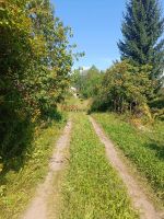 Лот: 23360602. Фото: 4. Дача Новосибирская область, Искитимский... Красноярск